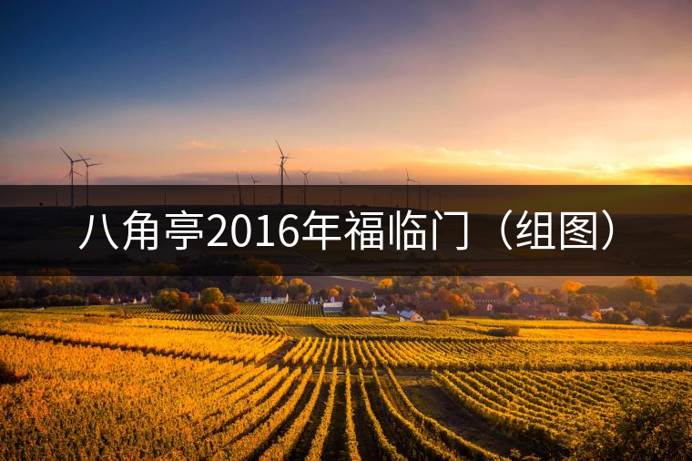 八角亭2016年福臨門(mén)(組圖) 八角亭2016年福臨門(mén)(組圖)