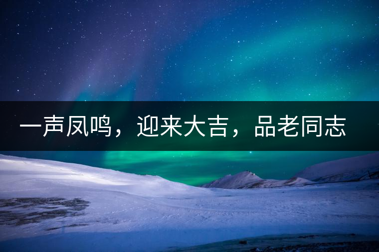 一聲鳳鳴，迎來大吉，品老同志鳳鳴吉至