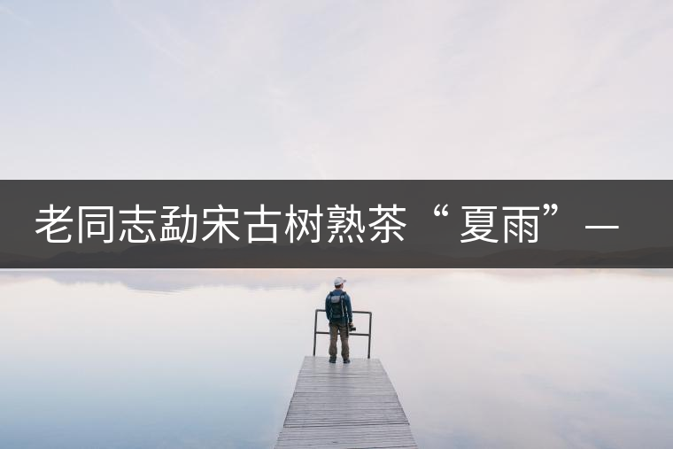 老同志勐宋古樹熟茶“ 夏雨”— 飲茶伴夏，只為您！