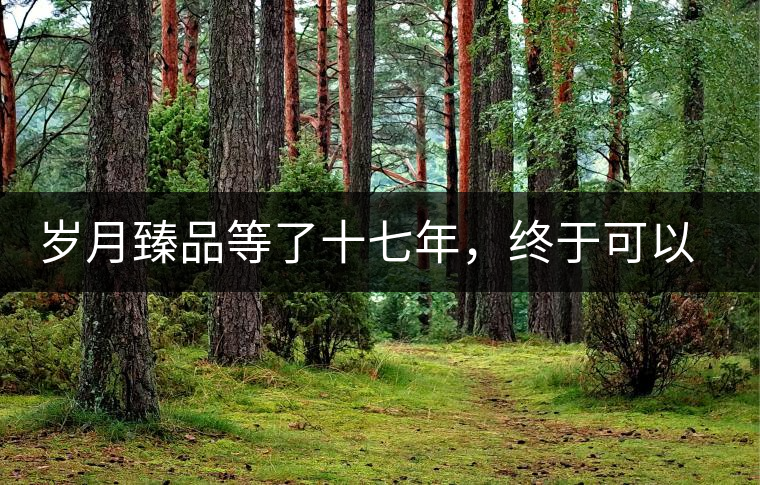 歲月臻品等了十七年，終于可以品味歲月