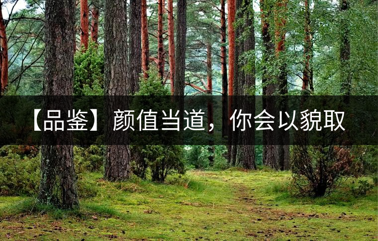 【品鑒】顏值當(dāng)?shù)溃銜?huì)以貌取茶嗎？