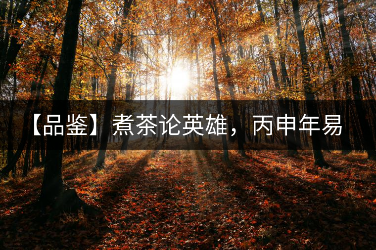 【品鑒】煮茶論英雄,丙申年易武麻黑 【品鑒】煮茶論英雄,丙申年易武麻黑