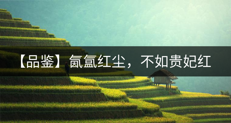 【品鑒】氤氳紅塵，不如貴妃紅一盞