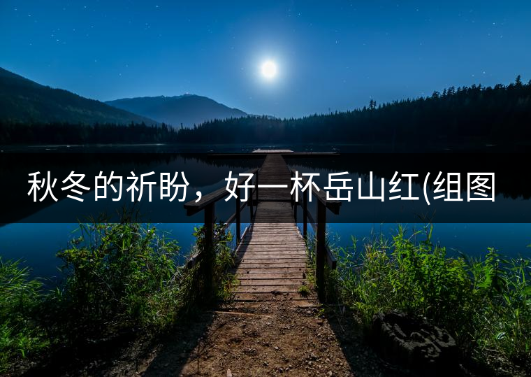 秋冬的祈盼，好一杯岳山紅(組圖)