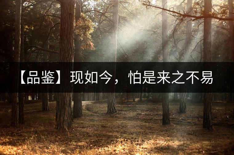 【品鑒】現(xiàn)如今，怕是來之不易的純濮