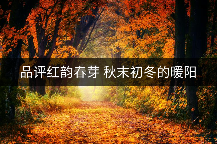 品評(píng)紅韻春芽 秋末初冬的暖陽(yáng)