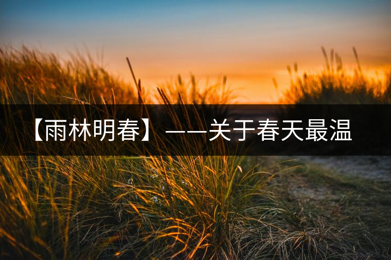 【雨林明春】——關于春天最溫情的想象 【雨林明春】——關于春天最溫情的想象