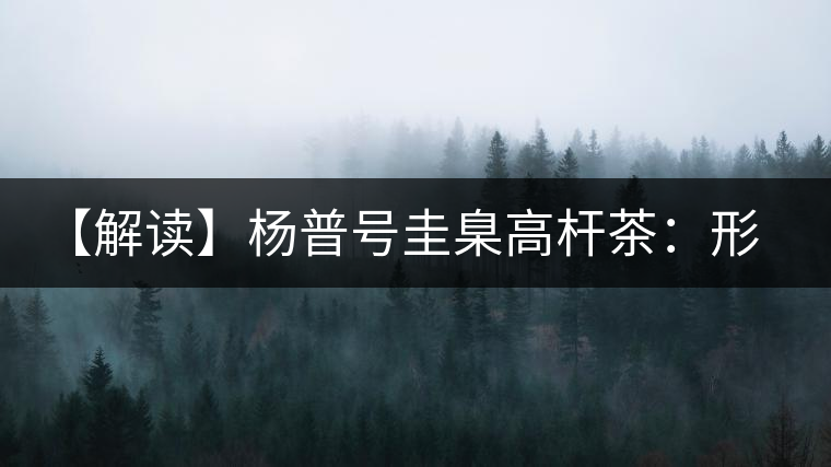 【解讀】楊普號(hào)圭臬高桿茶：形高、氣足、韻遠(yuǎn)的一款茶