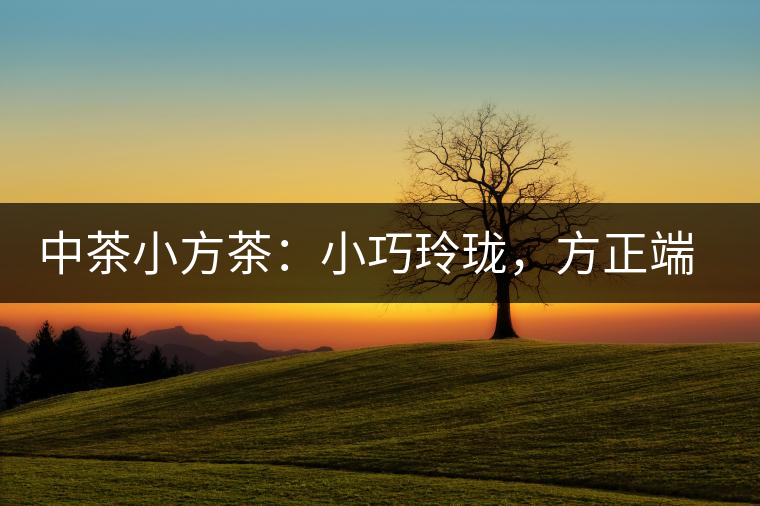 中茶小方茶：小巧玲瓏，方正端莊