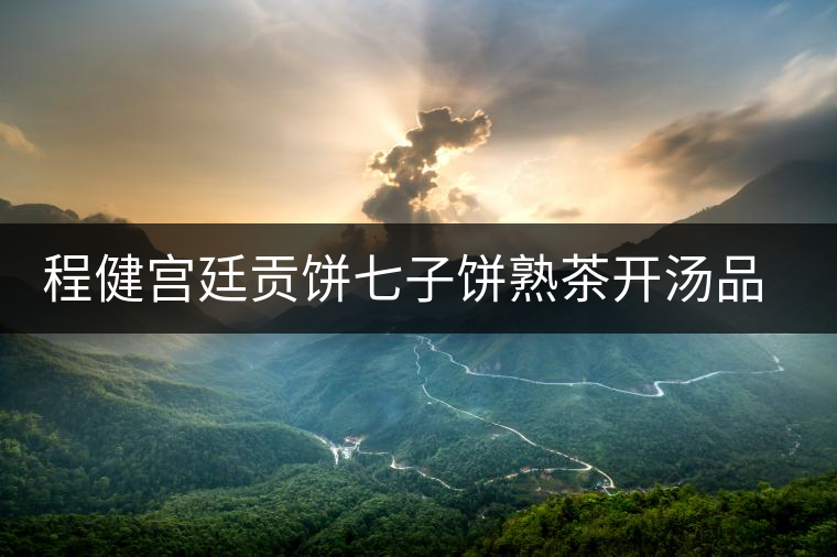 程健宮廷貢餅七子餅熟茶開湯品鑒