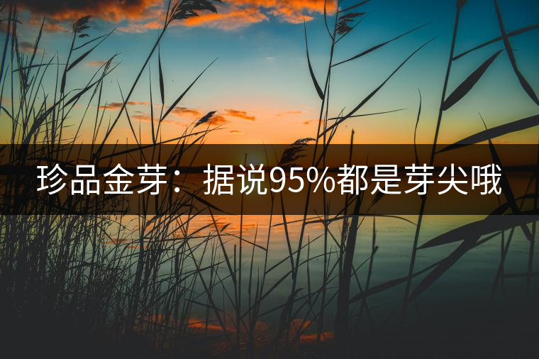 珍品金芽:據(jù)說95%都是芽尖哦 珍品金芽:據(jù)說95%都是芽尖哦