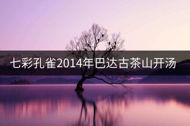 七彩孔雀2014年巴達(dá)古茶山開(kāi)湯品鑒 七彩孔雀2014年巴達(dá)古茶山開(kāi)湯品鑒