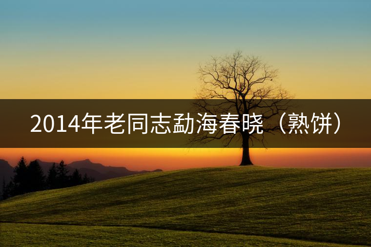 2014年老同志勐海春曉（熟餅）