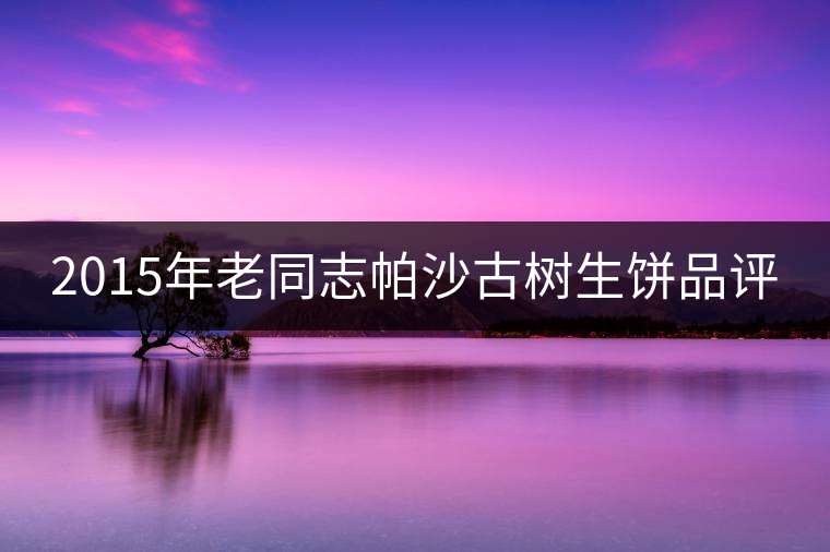 2015年老同志帕沙古樹生餅品評(píng) 2015年老同志帕沙古樹生餅品評(píng)