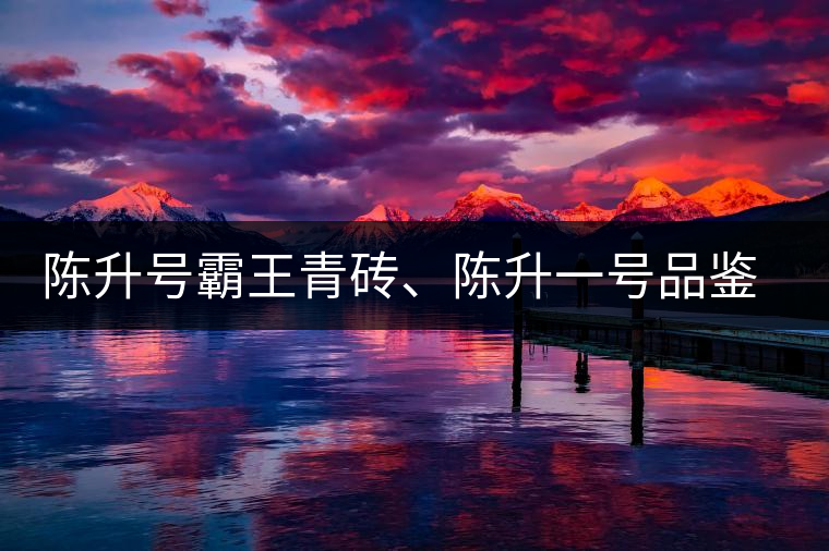 陳升號霸王青磚、陳升一號品鑒【圖】