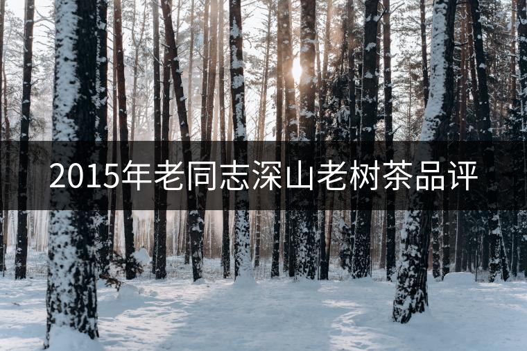 2015年老同志深山老樹(shù)茶品評(píng) 2015年老同志深山老樹(shù)茶品評(píng)