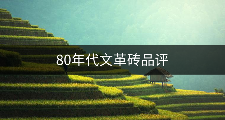 80年代文革磚品評(píng) 80年代文革磚品評(píng)