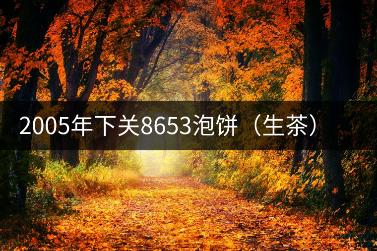 2005年下關(guān)8653泡餅(生茶)品評(píng) 2005年下關(guān)8653泡餅(生茶)品評(píng)