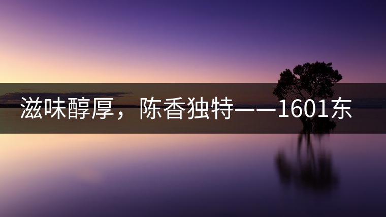 滋味醇厚，陳香獨(dú)特——1601東方美韻品鑒