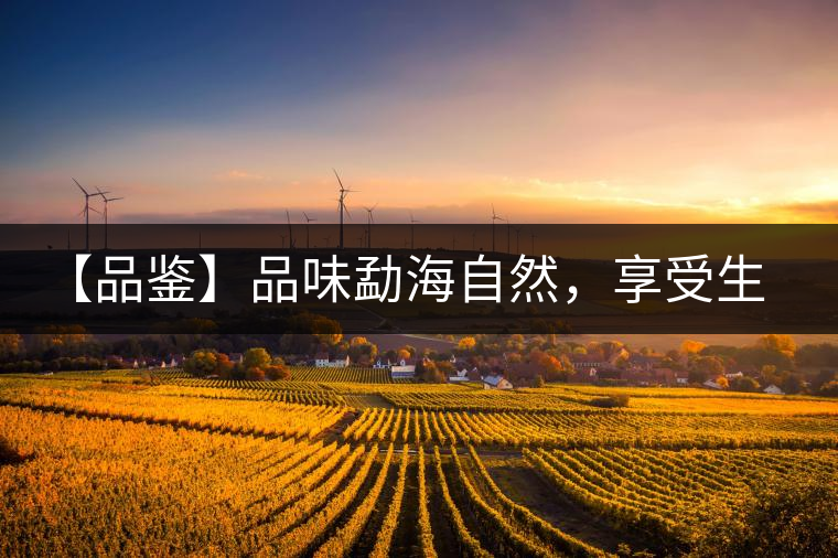 【品鑒】品味勐海自然，享受生活醇香