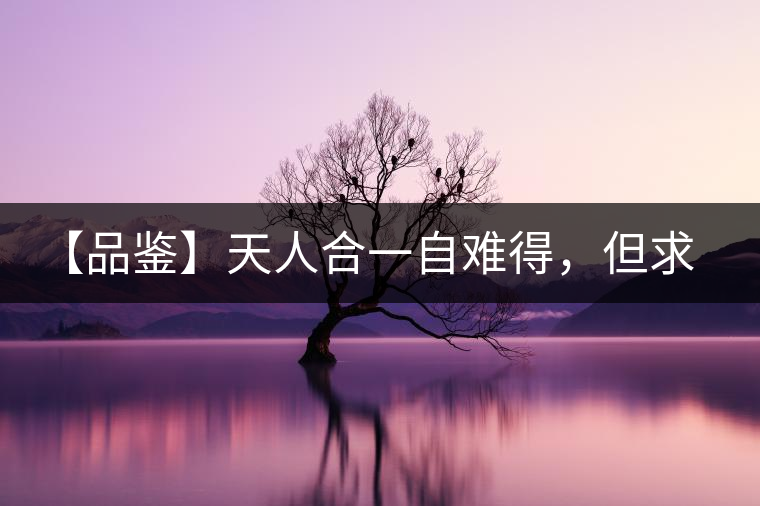 【品鑒】天人合一自難得，但求得茶之本味