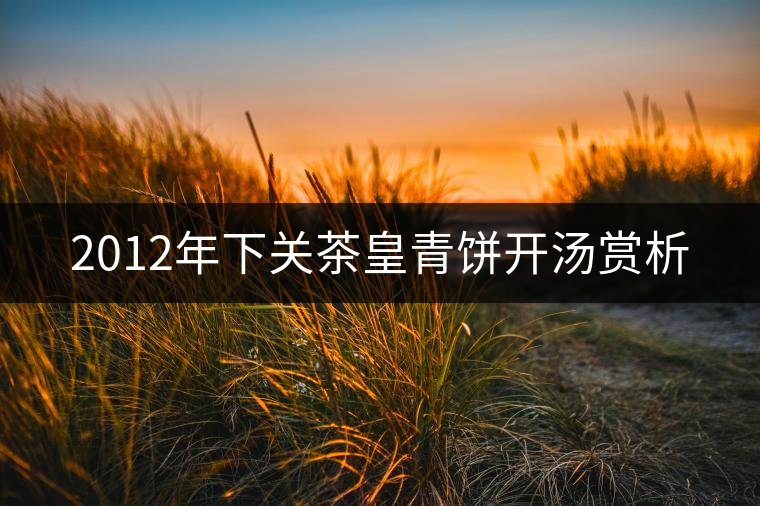2012年下關茶皇青餅開湯賞析 2012年下關茶皇青餅開湯賞析