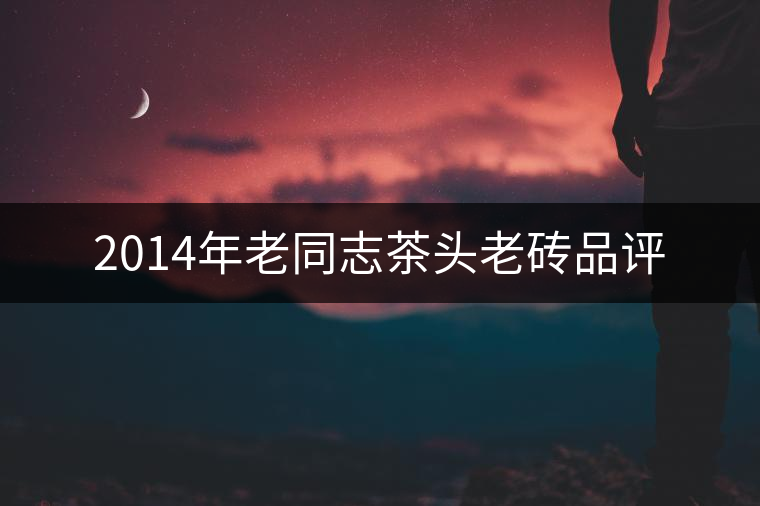 2014年老同志茶頭老磚品評(píng) 2014年老同志茶頭老磚品評(píng)