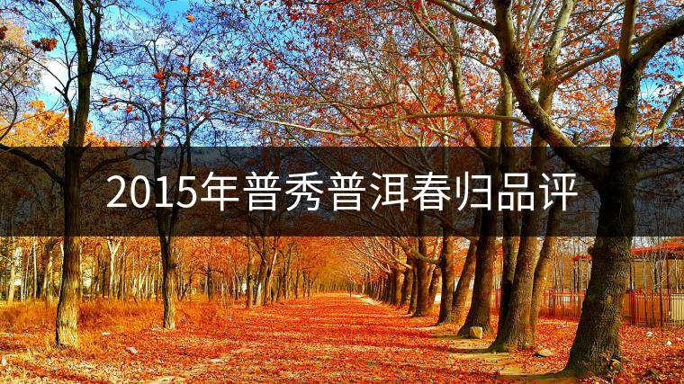 2015年普秀普洱春歸品評(píng) 2015年普秀普洱春歸品評(píng)