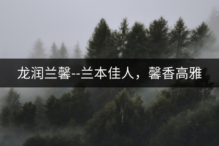 龍潤蘭馨--蘭本佳人，馨香高雅