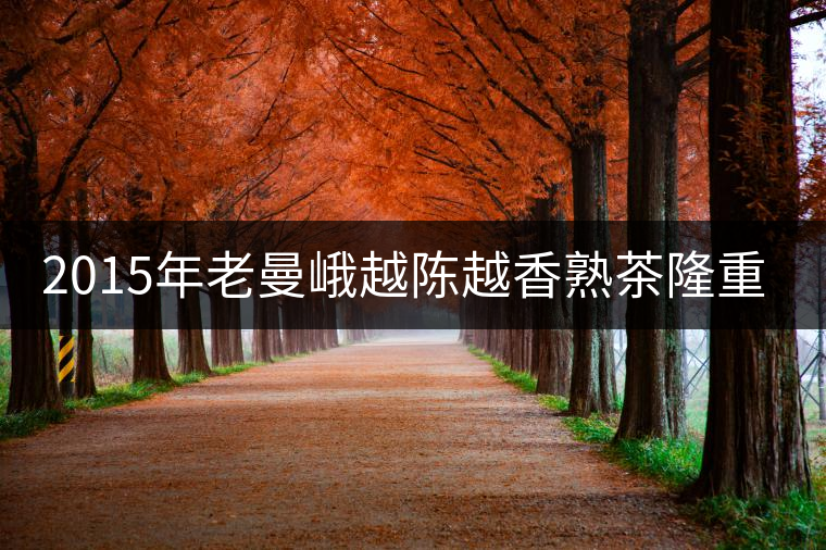 2015年老曼峨越陳越香熟茶隆重上市！