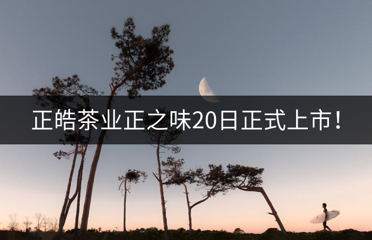 正皓茶業(yè)正之味20日正式上市！