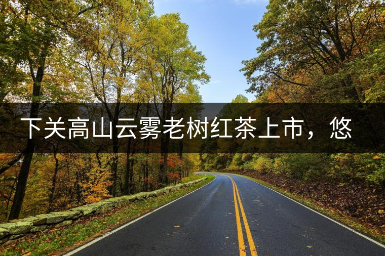 下關(guān)高山云霧老樹紅茶上市，悠悠春茶香