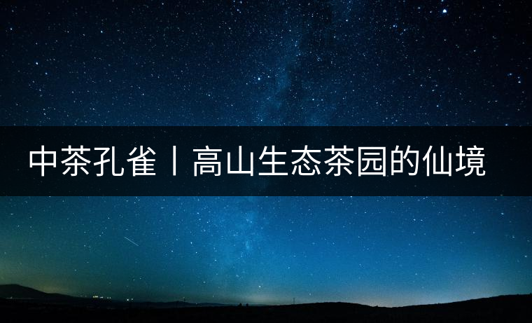 中茶孔雀丨高山生態(tài)茶園的仙境氣息 中茶孔雀丨高山生態(tài)茶園的仙境氣息
