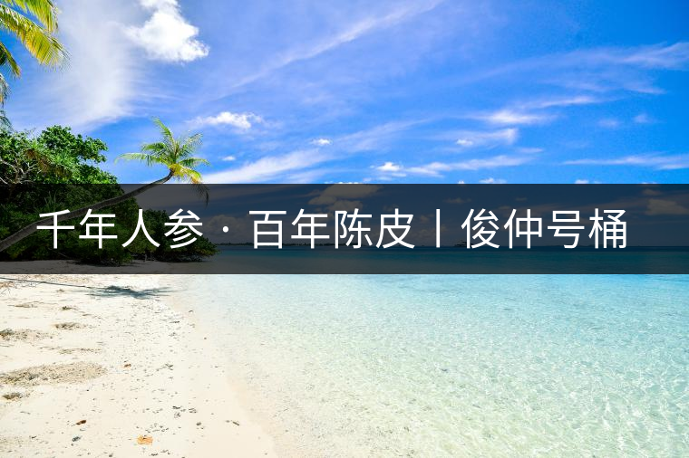 千年人參 · 百年陳皮丨俊仲號桶裝柑普茶豈止于大！