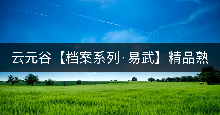 云元谷【檔案系列·易武】精品熟茶，精裝上市！