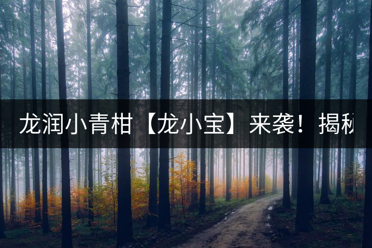 龍潤小青柑【龍小寶】來襲！揭秘它的前半生！