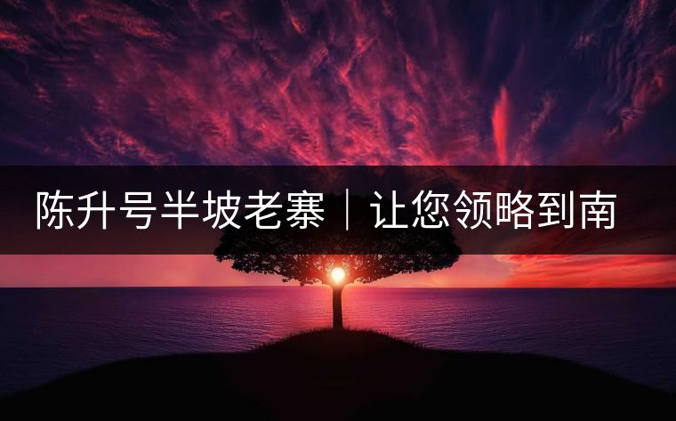 陳升號半坡老寨｜讓您領略到南糯山大樹茶口感的地道！