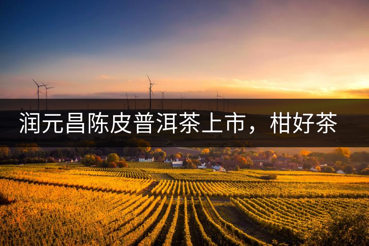 潤(rùn)元昌陳皮普洱茶上市，柑好茶更好，精品普洱茶