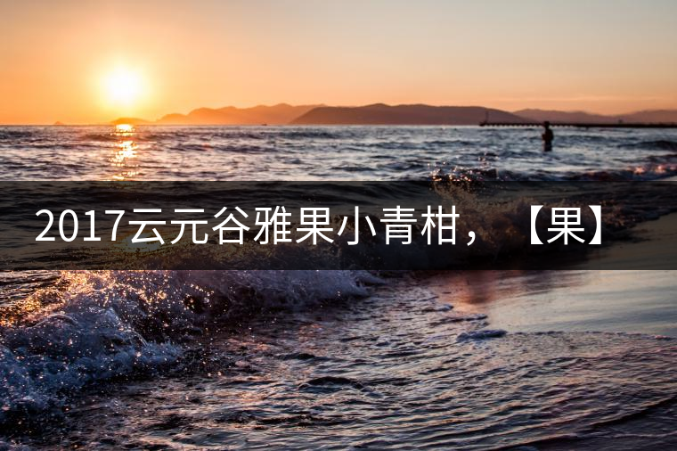 2017云元谷雅果小青柑，【果】真來了