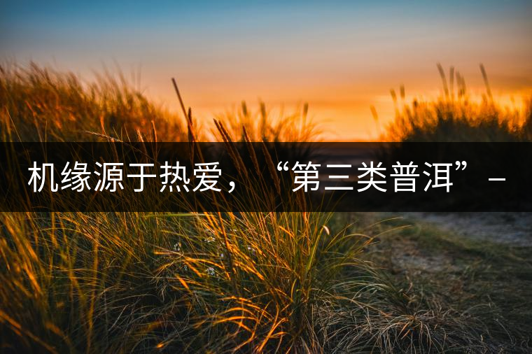 機(jī)緣源于熱愛，“第三類普洱”——“散壓茶TM”的誕生。
