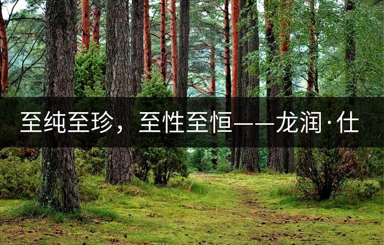 至純至珍，至性至恒——龍潤(rùn)·仕通茶新上市！