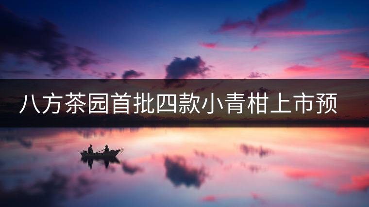 八方茶園首批四款小青柑上市預(yù)告 八方茶園首批四款小青柑上市預(yù)告