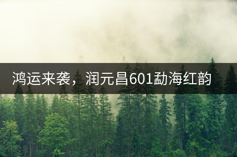 鴻運來襲，潤元昌601勐海紅韻熟茶即將上市