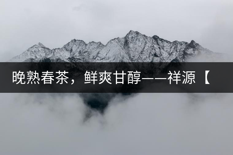 晚熟春茶，鮮爽甘醇——祥源【政和大白】清鮮上市