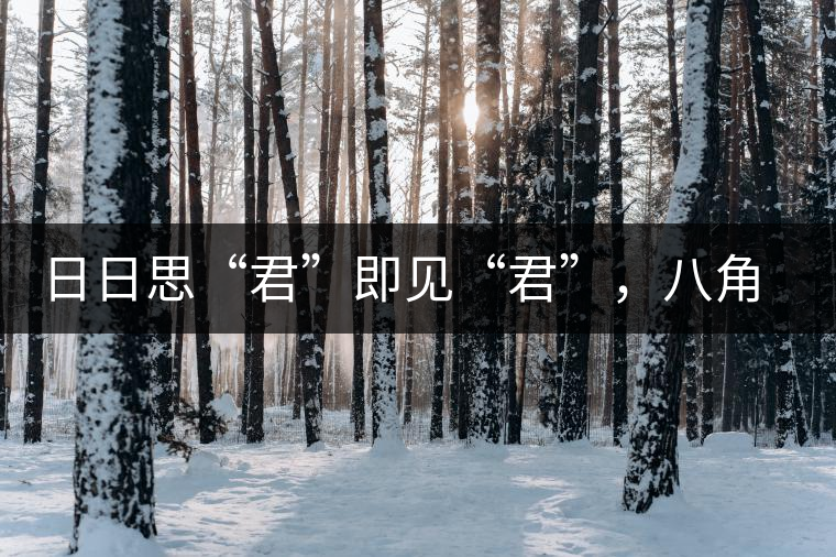 日日思“君”即見“君”，八角亭竹筒茶君子即將上市