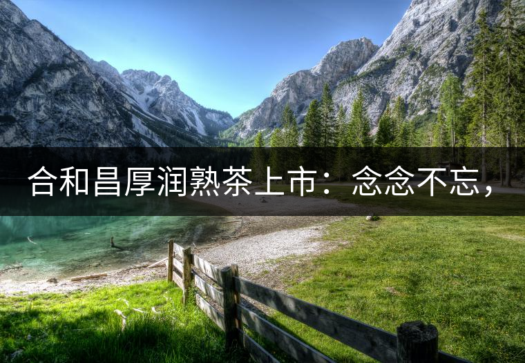 合和昌厚潤熟茶上市：念念不忘，必有回響！