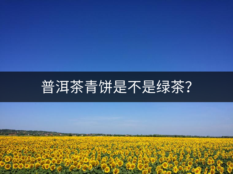 普洱茶青餅是不是綠茶？