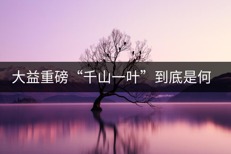 大益重磅“千山一葉”到底是何方神圣？