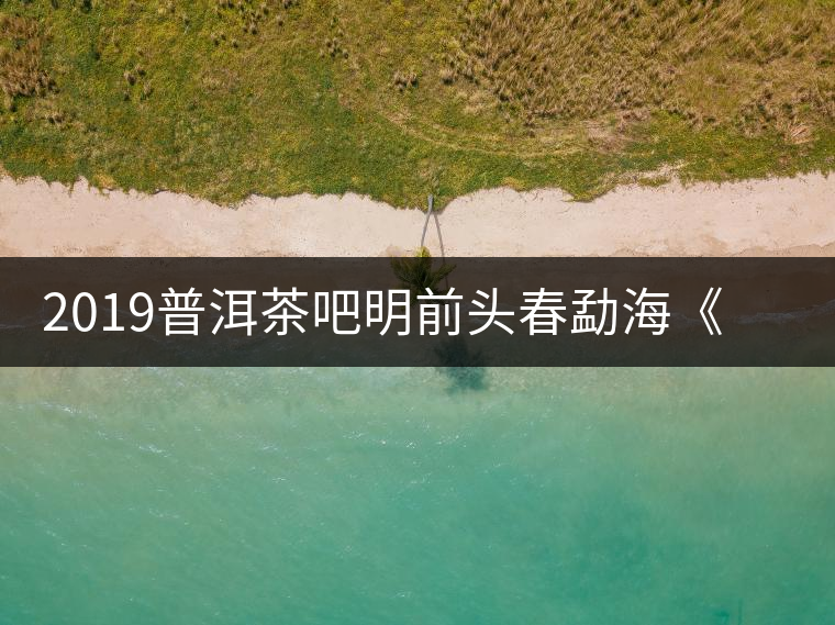 2019普洱茶吧明前頭春勐?！对鹿獍住钒撞鑳?yōu)惠訂購