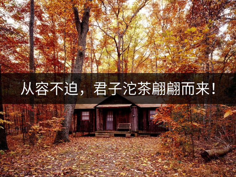 從容不迫，君子沱茶翩翩而來！